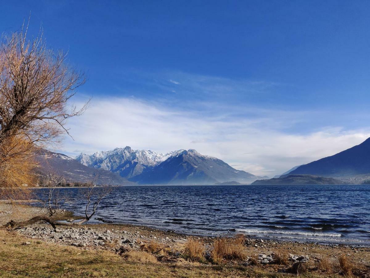 Ulivi On The Lake Dongo Exterior foto